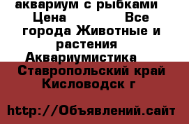 аквариум с рыбками › Цена ­ 15 000 - Все города Животные и растения » Аквариумистика   . Ставропольский край,Кисловодск г.